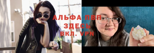 гашик Михайлов