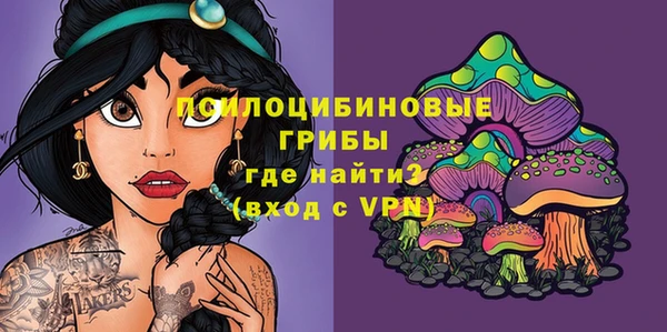 гашик Михайлов