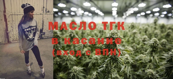 гашик Михайлов