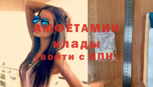 гашик Михайлов