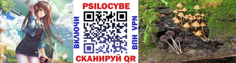 Галлюциногенные грибы Psilocybine cubensis мега Нерехта